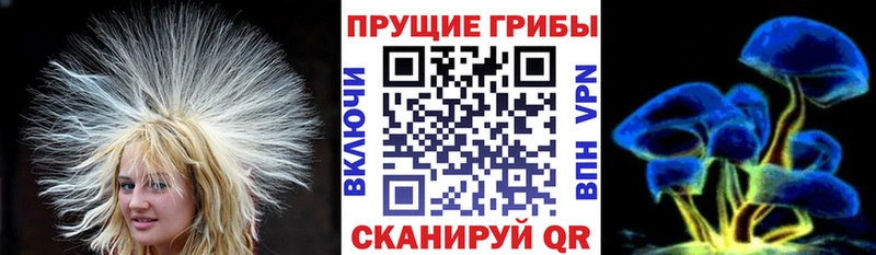 Галлюциногенные грибы мицелий  blacksprut онион  Ершов  как найти закладки 